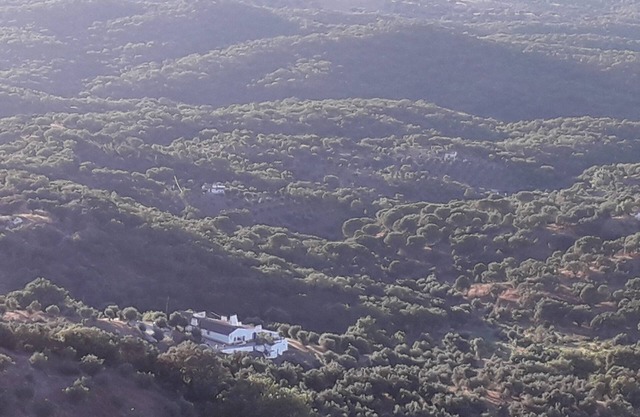 Olive Tree Cottage set in the Quinta de Evoramonte
