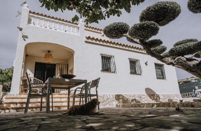 Oliveres3