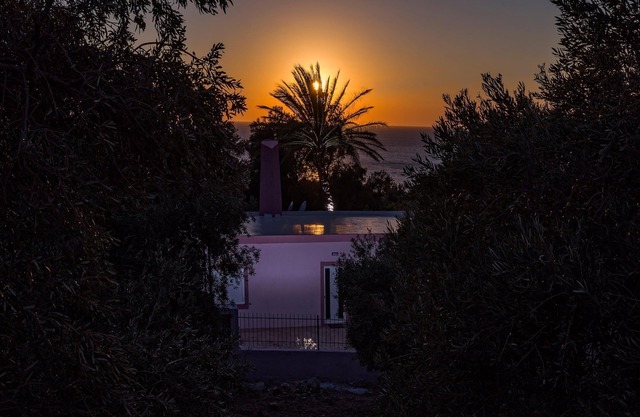 Palm Beach House