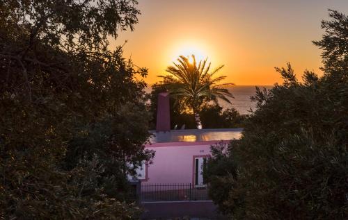 Palm Beach House