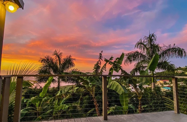Palm Deck, a private slice of paradise overlooking the ocean