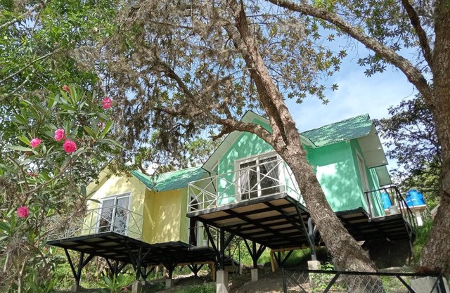 PALO ALTO Soatá