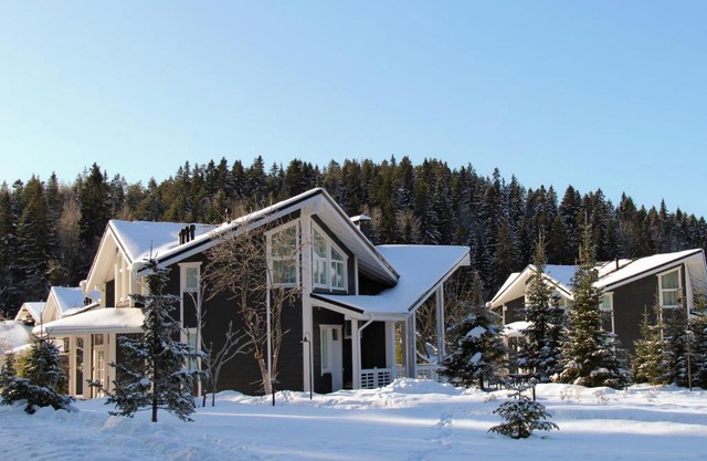 Park-Hotel Dacha Wintera