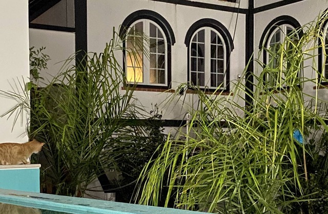 Patio da Villa Guest House