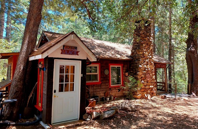 Peaceful 1920s Cozy Cabin snuggled in 100 ft Pines -Palomar Mt, Bailey Meadows