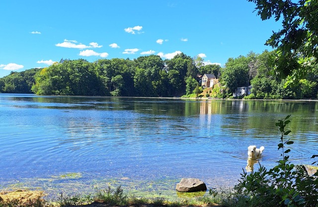 Peaceful and convenient area with tiny house experience