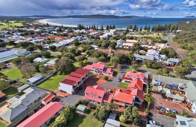 Pelicans Albany Middleton Beach