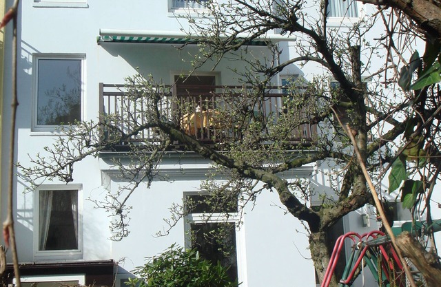 PENTHOUSE at Alster City Garden Villa. Stylish & quiet apt., Adults only