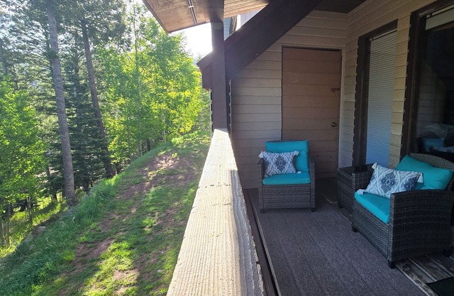 Pet Friendly Condo, Sleeps 4, Scenic Views, Walking Distance to Lifts, Bike Park