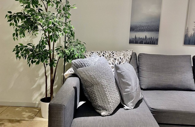Pet friendly cozy basement apartment in Queen West