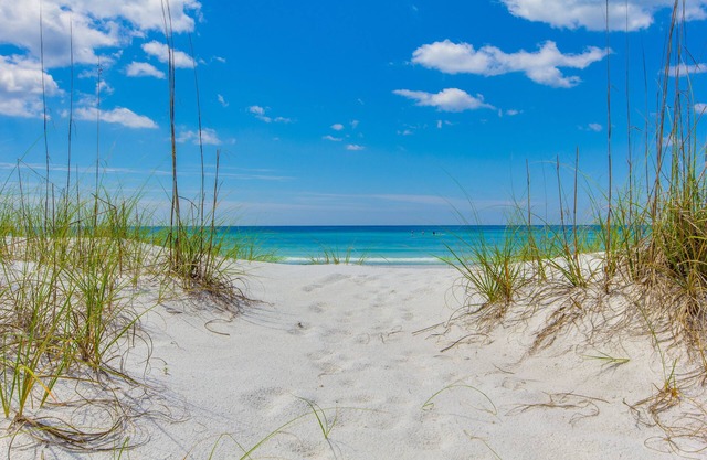 Pet Friendly ~ Outdoor Lounging Area ~ Short Walk to Beach