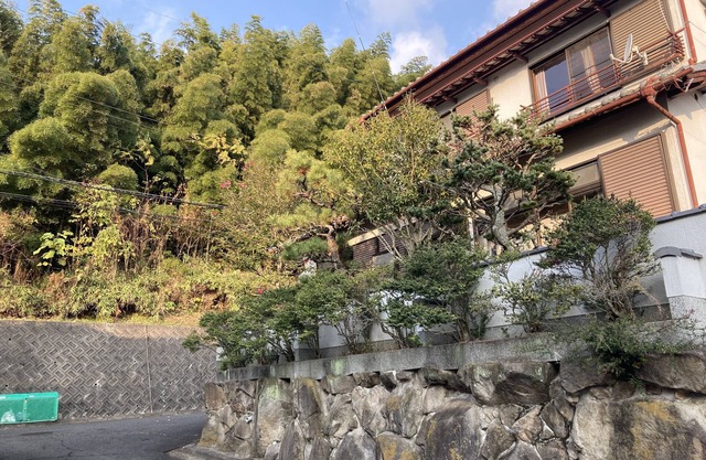 Piano Guest House