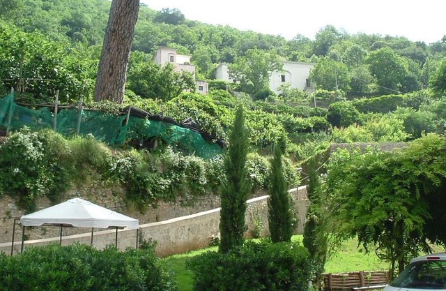 Pietra Rosa