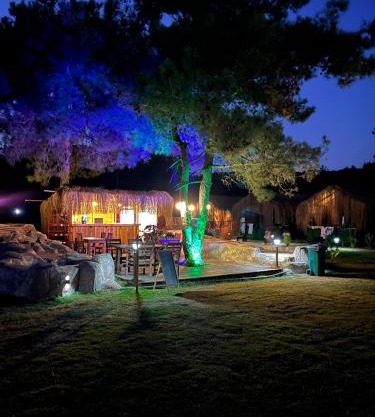 Pine Village Bungalows Ölüdeniz