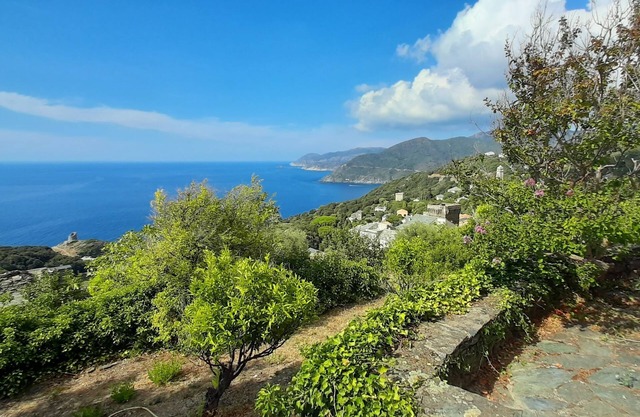 Pleasant family home in Pino