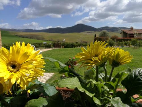Podere San Luigi - Pet Friendly