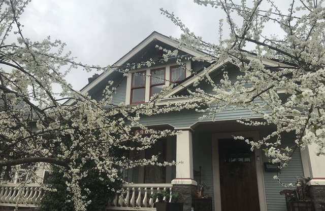 Portland Sanctuary