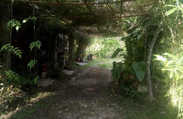 Posada El Malcotal