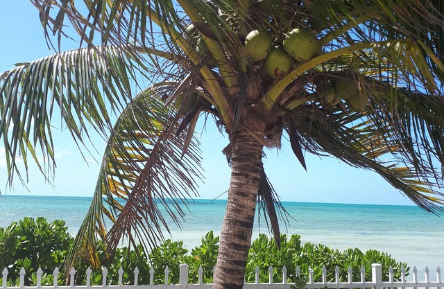 Private and Peaceful Cottage at the Beach