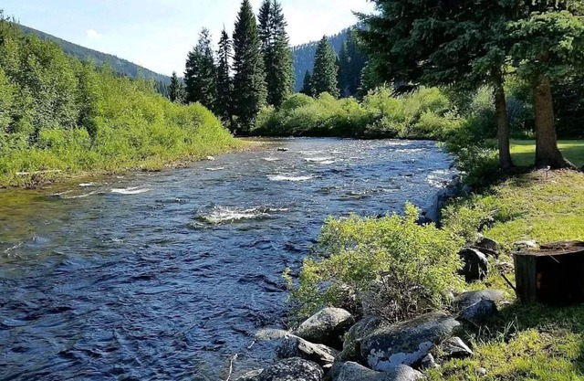 Private East Fork River Cabin, 2 acres, 30 minutes to ski hill & Darby