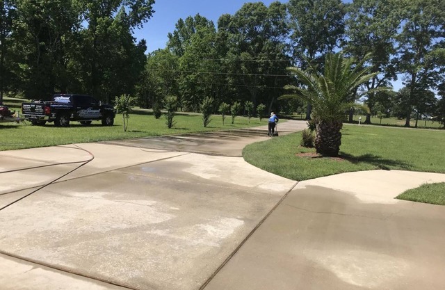 Private Legacy Garden! Share large home with plenty of privacy