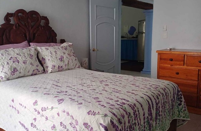 PURPLE LOTUS COZUMEL fibre optics WIFI, A/C Pool. Walking distance to town.