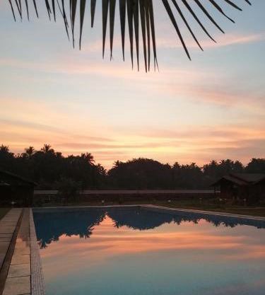 Radhika Eco Resort(Odonata)