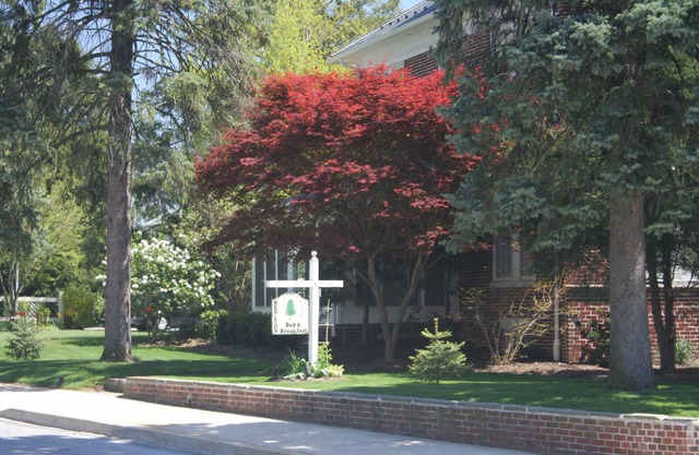 Red Lion Bed & Breakfast