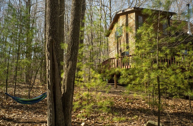 Relaxing House in Catskills Forest Near Pretty Pond - near Woodstock/Phoenicia.