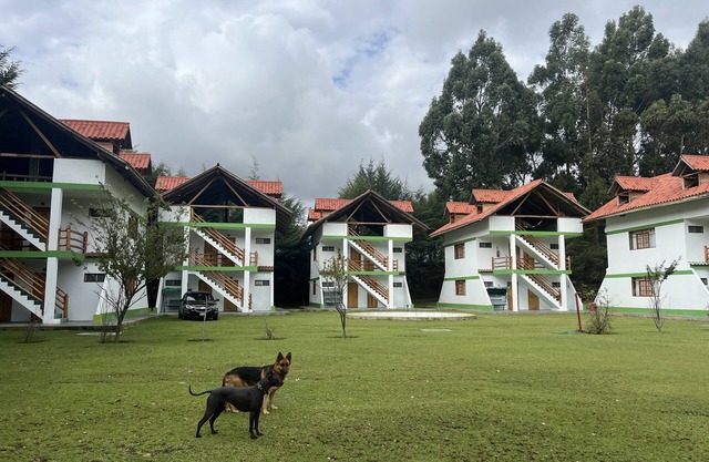 RESORT ALAPA