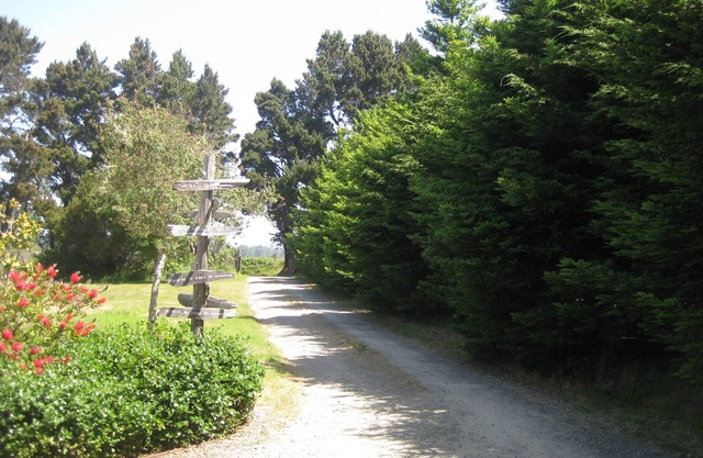 Riventides: North Coast Delight