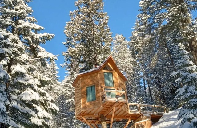 Romantic Treehouse Getaway with Peaceful Mountain Views!