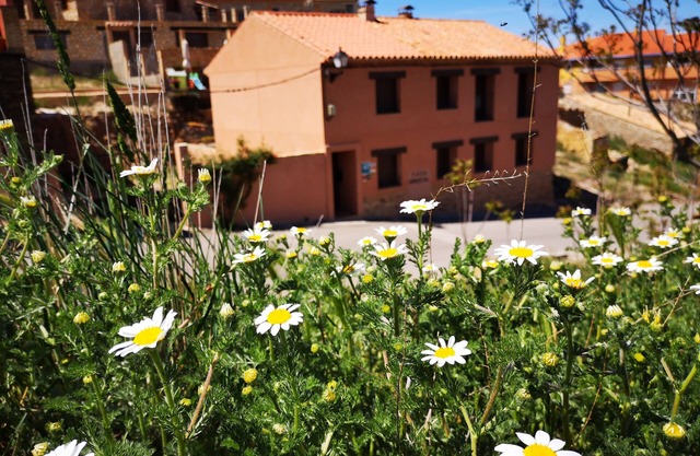 Rural house with barbecue in Teruel