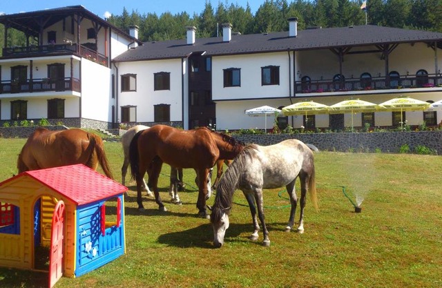 Rusaliite Adventure House