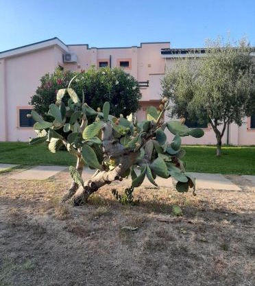 Sole e Mare appartamento nel villaggio