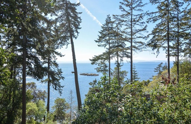 San Juan Island, Orca Overlook #112