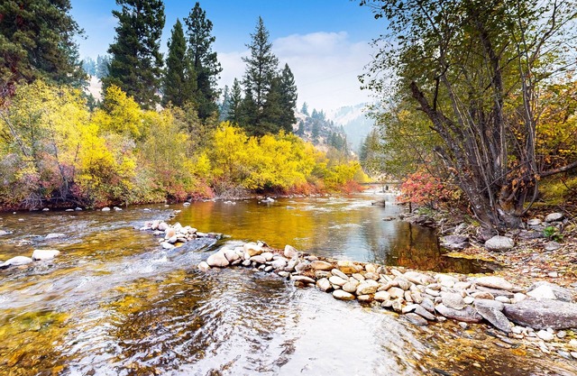 Scenic retreat w/two cabins, abundant wildlife, forest views, & fishing