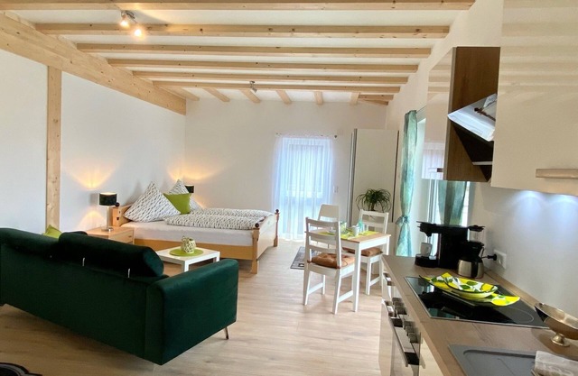 Schönes helles Studio-Appartement mit großem Balkon