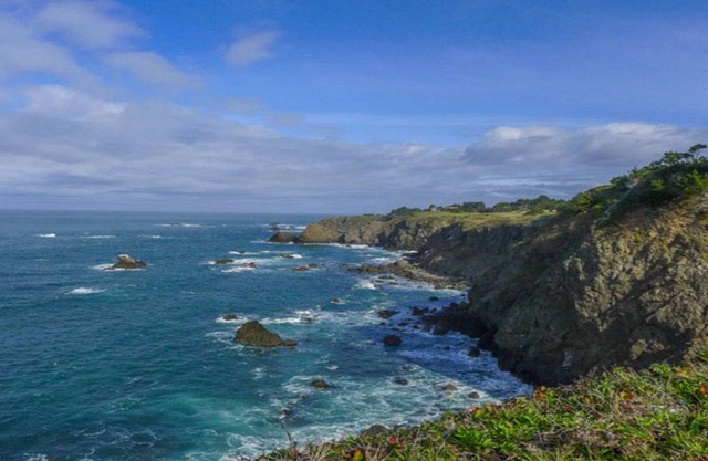 Seal Point - Edge of the World