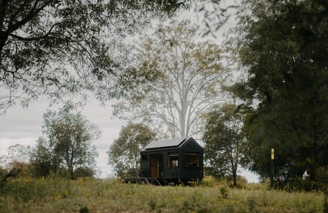 Secluded & Pet Friendly Cabin Deep in Nature - Cybele