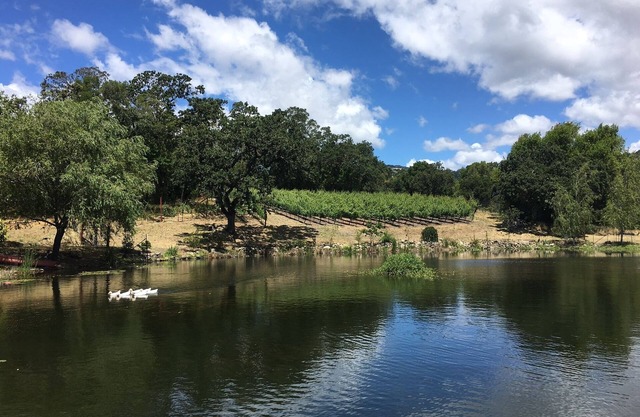 Serene Pied a Terre in the Wine Country (TOT 695N)