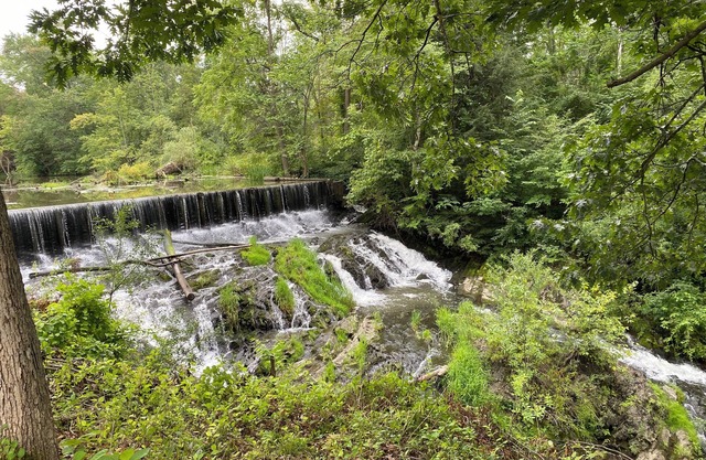 Serene Waterfall!