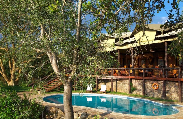 Serengeti Migration Camp