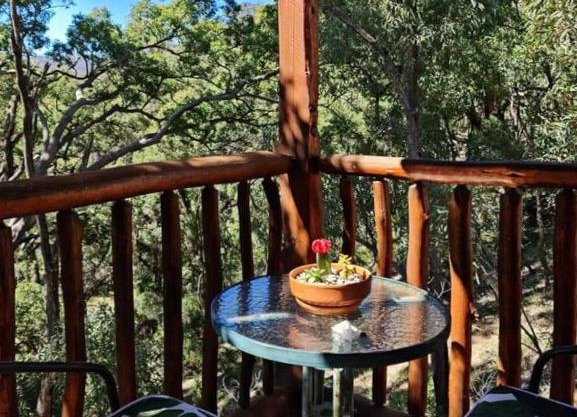 Shady Creek Eco Cabin, Mudgee, Peaceful Country Getaway