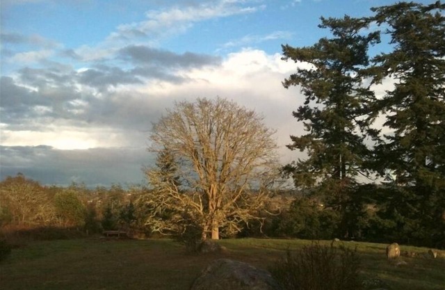 Shared hot tub with meadow view