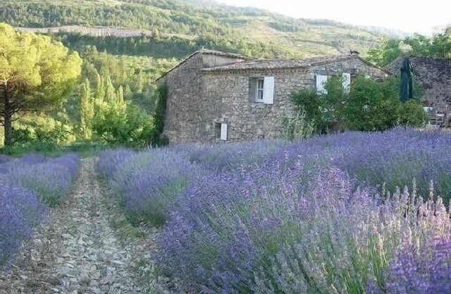 Sheepfold restored In Provence near Vaison la Romaine and Mont Ventoux