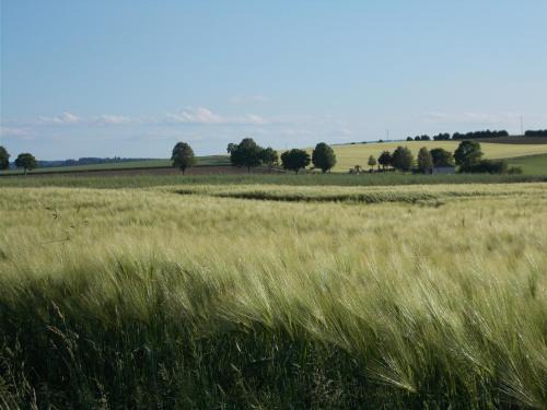 Sie genießen Natur und Ruhe