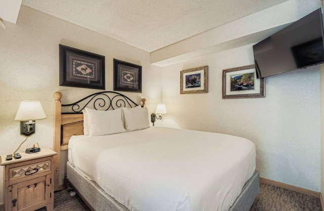 Ski In Ski Out Studio, Dog Friendly, Beaver Run, Building 4