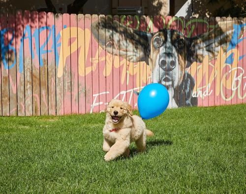 Sono Pet Clubs & Resorts VivaldiPark