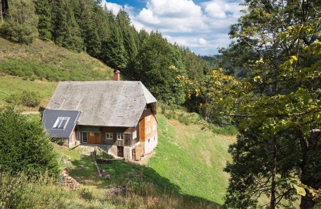 Stand alone Vacation Rental in the forest in modern restored historic farmhouse
